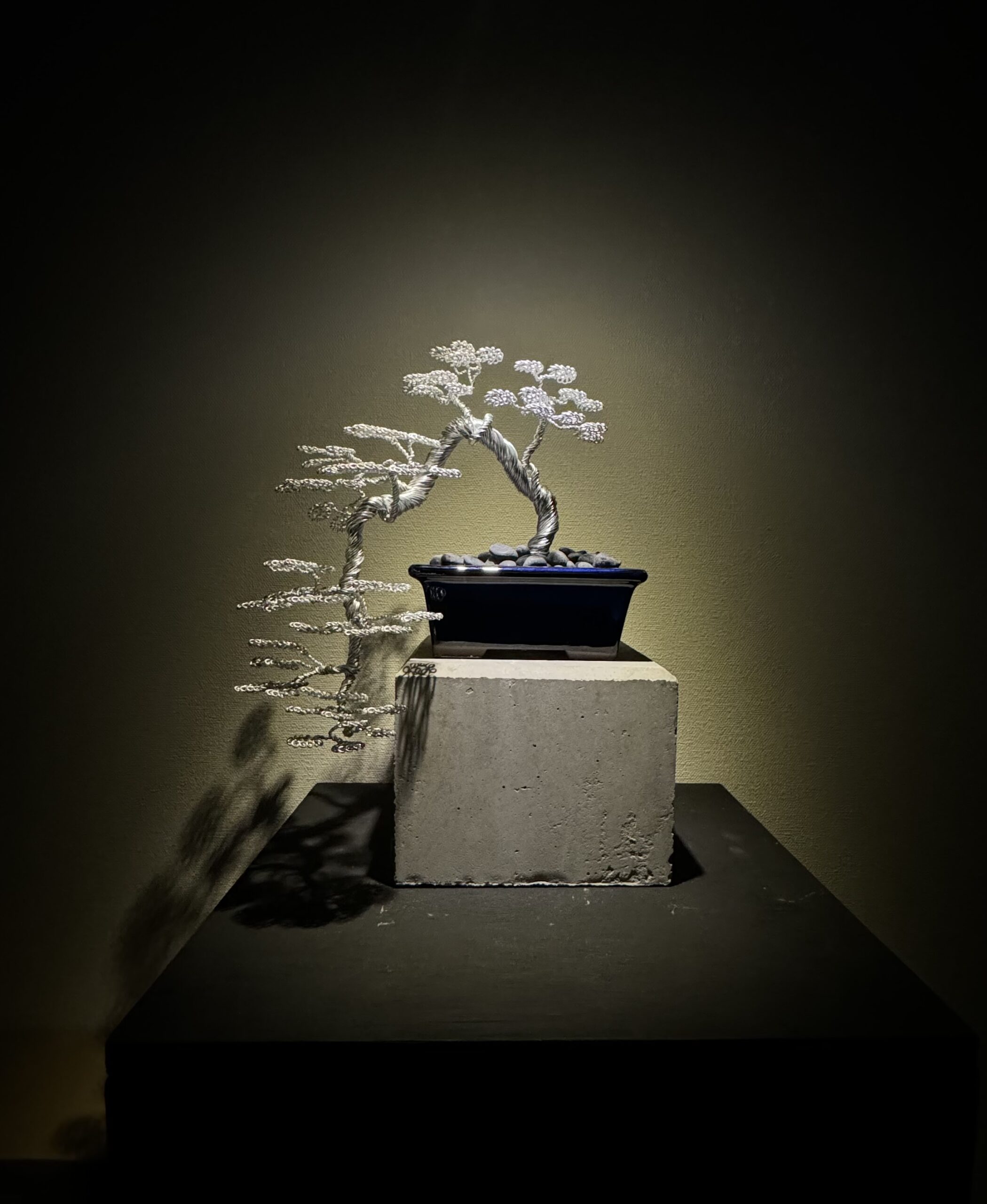 395 秋雅展2024と東芳会さん展示会。 ​⁠‪@bonsai1007‬ 【ミニ
